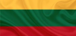 Пропуск в Москву на МКАД для страны Флаг-Литва МОС-ПРОПУСК-24 \ MOS-PROPUSK-24